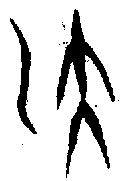 甲骨文金文篆体象形字的字形演变