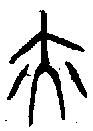 甲骨文金文篆体象形字的字形演变