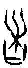 甲骨文金文篆体象形字的字形演变