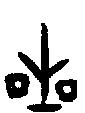 甲骨文金文篆体象形字的字形演变