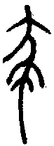 甲骨文金文篆体象形字的字形演变