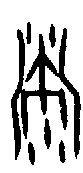 甲骨文金文篆体象形字的字形演变