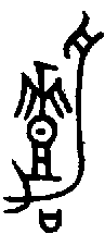 甲骨文金文篆体象形字的字形演变