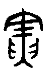 甲骨文金文篆体象形字的字形演变
