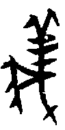 甲骨文金文篆体象形字的字形演变