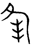 甲骨文金文篆体象形字的字形演变