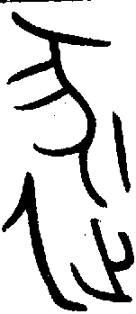 【逐】的甲骨文金文篆文字形演变含义
