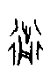 甲骨文金文篆体象形字的字形演变