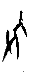 甲骨文金文篆体象形字的字形演变