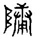 甲骨文金文篆体象形字的字形演变