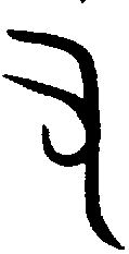 甲骨文金文篆体象形字的字形演变