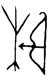 甲骨文金文篆体象形字的字形演变