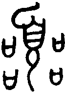 甲骨文金文篆体象形字的字形演变