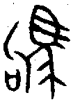 甲骨文金文篆体象形字的字形演变