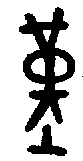 甲骨文金文篆体象形字的字形演变