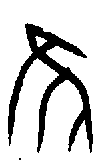 甲骨文金文篆体象形字的字形演变