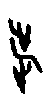 甲骨文金文篆体象形字的字形演变